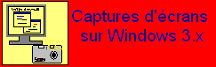 Captures sur Windows 3.x